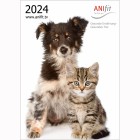 Picture calendar 2024 (1 Piece)